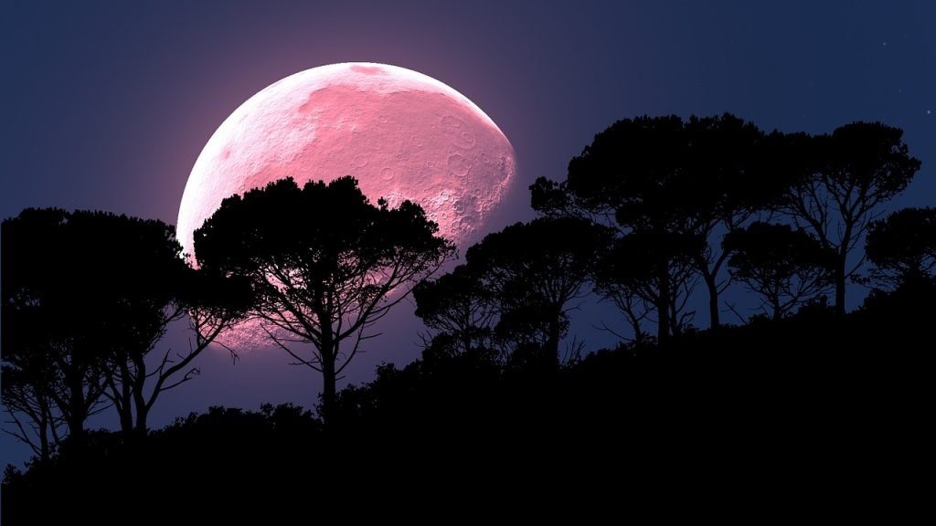 Pink Supermoon 2021