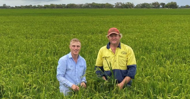 Farm Assistant Manager Jobs in Australia